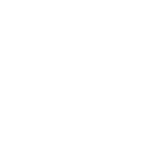 SON Logo